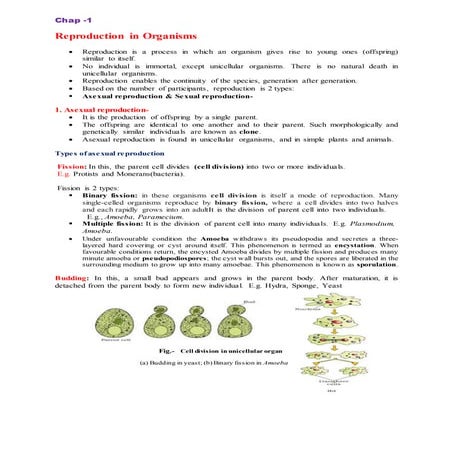 Reproduction in Organisms 