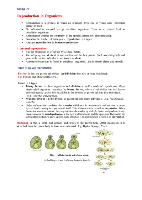 Life processes in living organism part 2 | PPTX