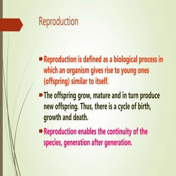 reproduction in organisms