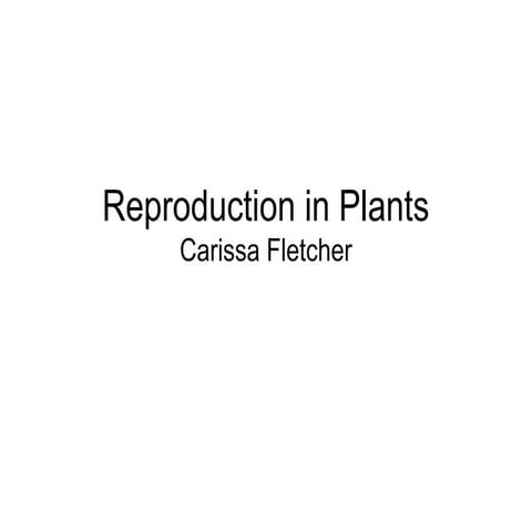Reproduction in plants