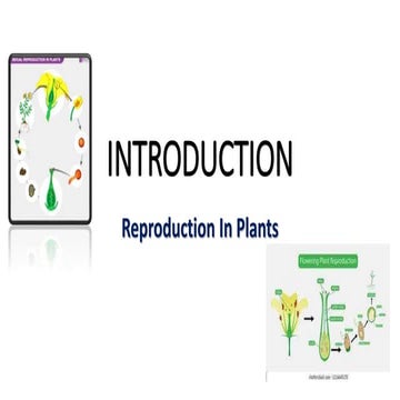 Reproduction in plants