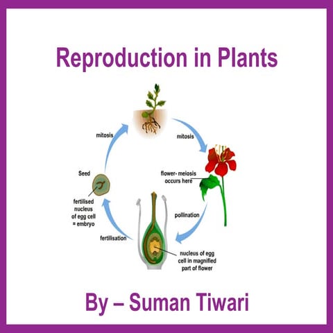 Reproduction in plants(flowering)