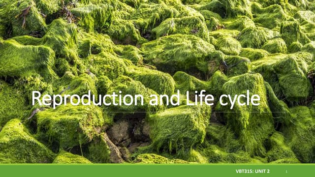 T cell development, maturation, activation and differentiation | PPTX