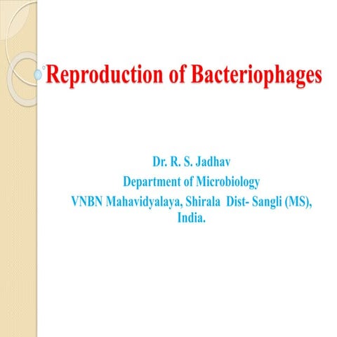 Reproduction of bacteriophages