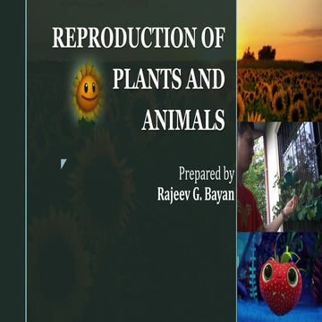 Reproduction of plants and simple animals