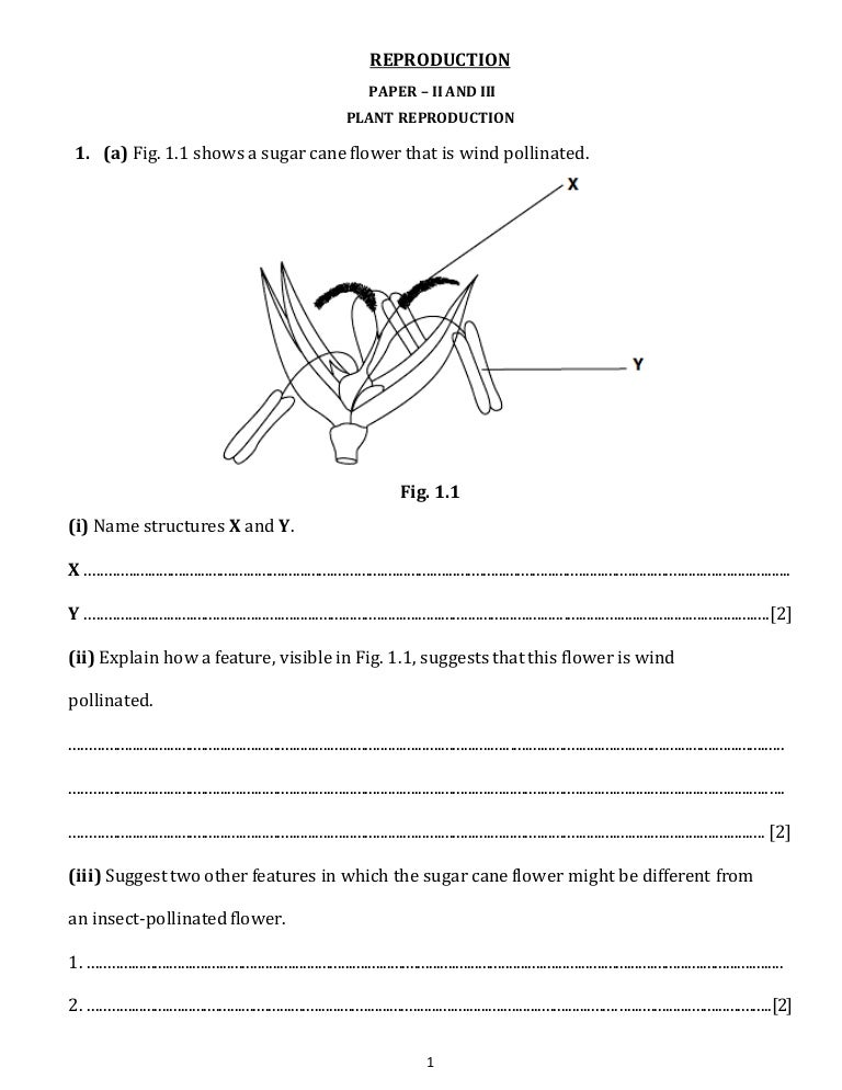 Reproduction practice questions plant focus