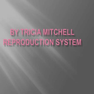Reproduction System