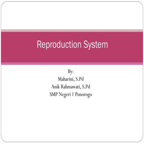 Reproduction System in Human