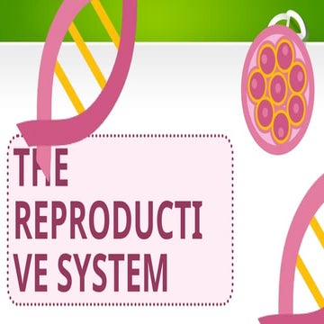 REPRODUCTIVE SYSTEMS AND ITS FUNCTIONS POWERPOINT | PPTX