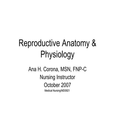 Reproductive anatomy & physiology
