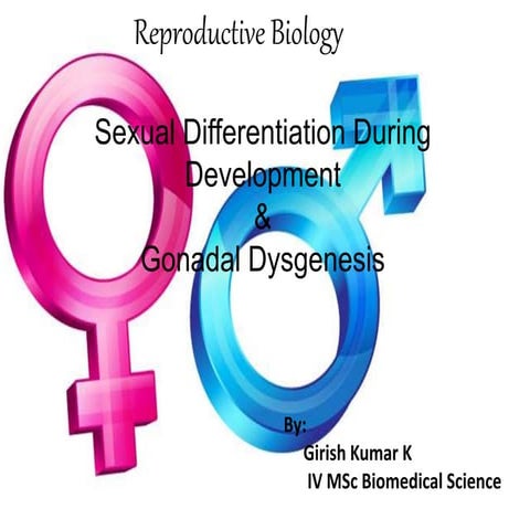 Sexual Differentiation During Development and Gonadal Dysgenesis