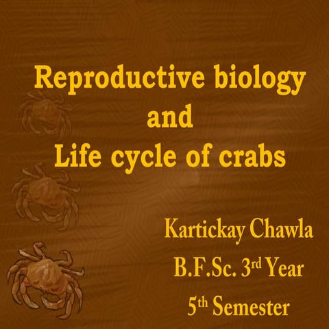 Reproductive biology and life cycle of crabs