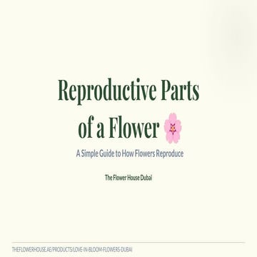 Understanding the Reproductive Parts of Flowers: A Comprehensive Guide ...