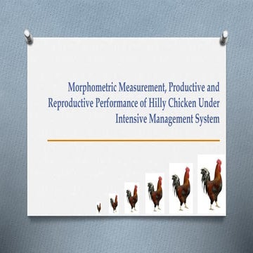 Reproductive performance of hilly chicken