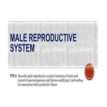 Male reproductive Sytem