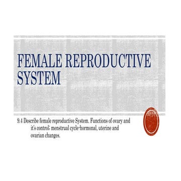 Female Reproductive System