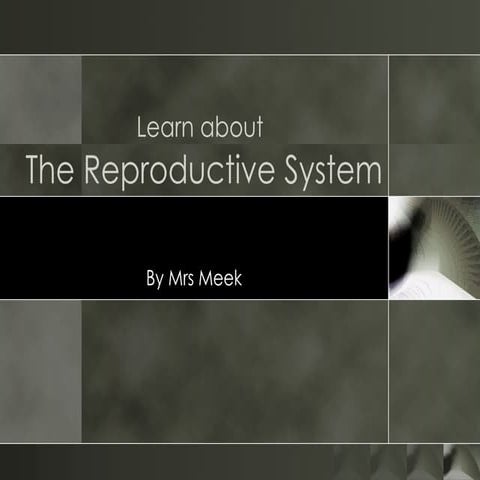 The Reproductive System