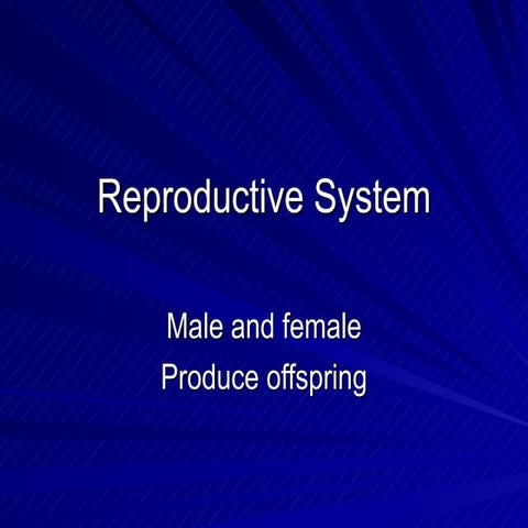 Reproductive system