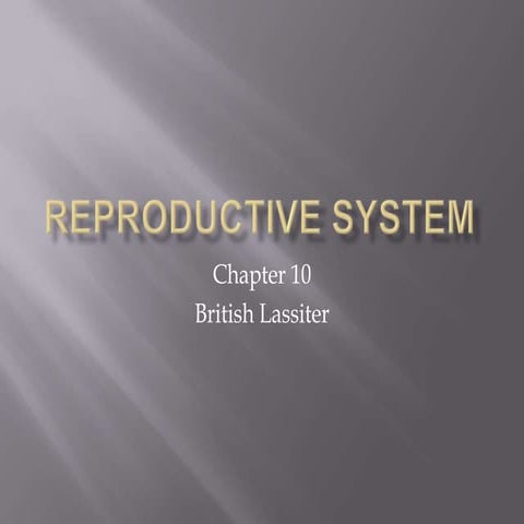 Reproductive system