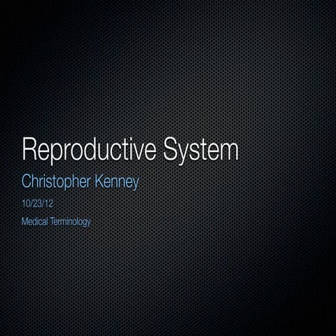Reproductive system