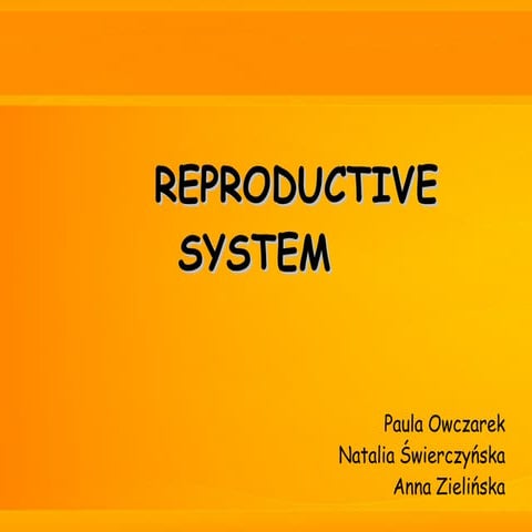 Reproductive system