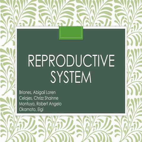 Comparative Anatomy - Reproductive System