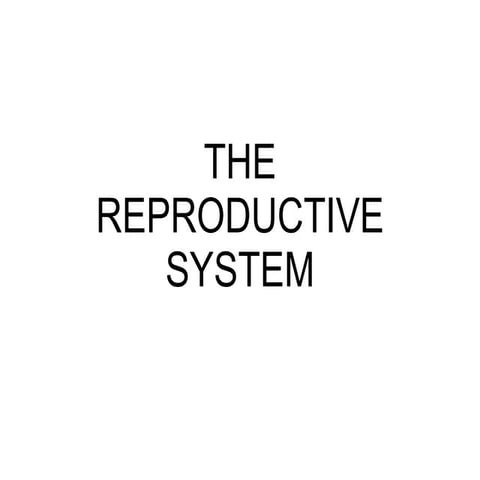Reproductive-System-Power-Point-Ackroyd.pptx