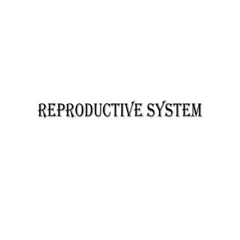 Reproductive System.pptx654467578975432256