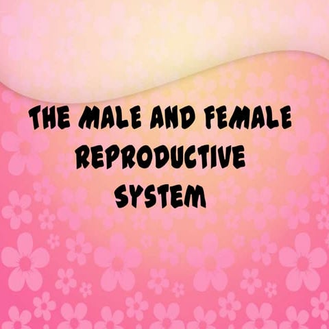 Reproductive system 