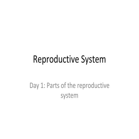 Reproductive system day1