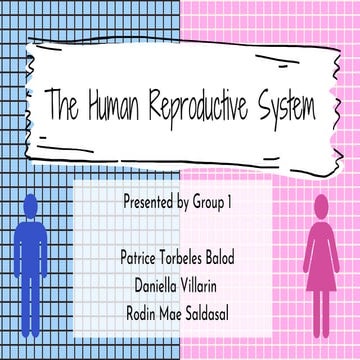 Reproductive System Group 1.pdf