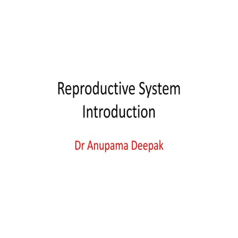 Reproductive System Introduction MBBS.pptx