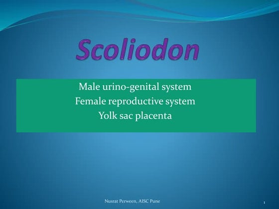 Reproductive system of frog | PPTX | Reproductive Health | Diseases and ...