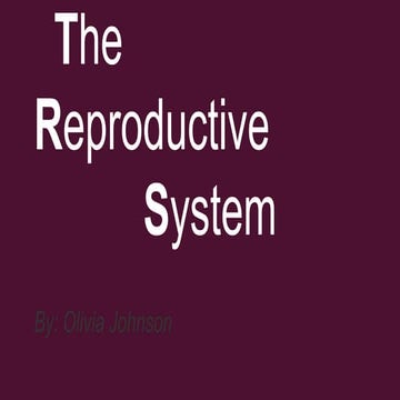 Reproductive system olivia johnson