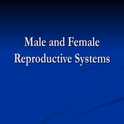 Reproductive system power point