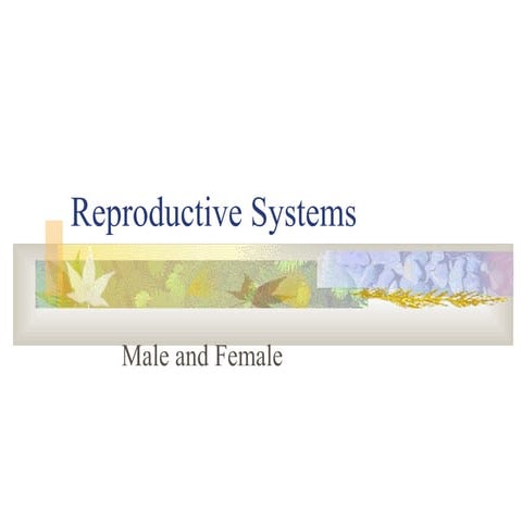 Reproductive systems
