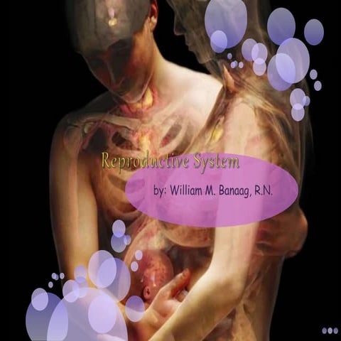 Reproductive system (slide show)