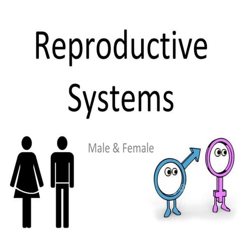 Reproductive systems presentation   version 2