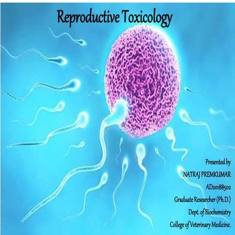 Reproductive toxicology