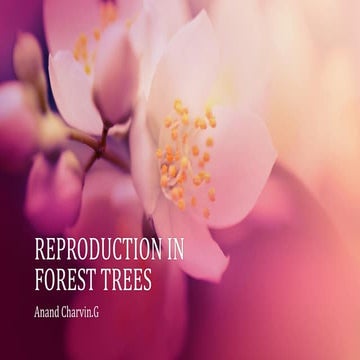 Reproducton in forest trees.