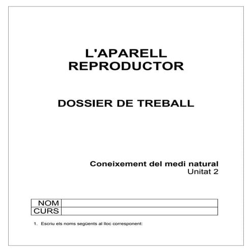 DOSSIER DE TREBALL