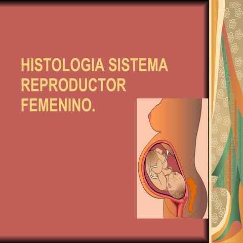 Reproductor Femenino