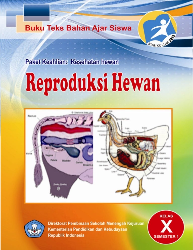 6600 Koleksi Gambar Organ Reproduksi Unggas Jantan Gratis Terbaik