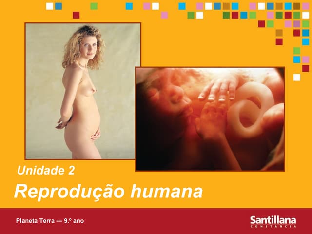 Reprodução Humana