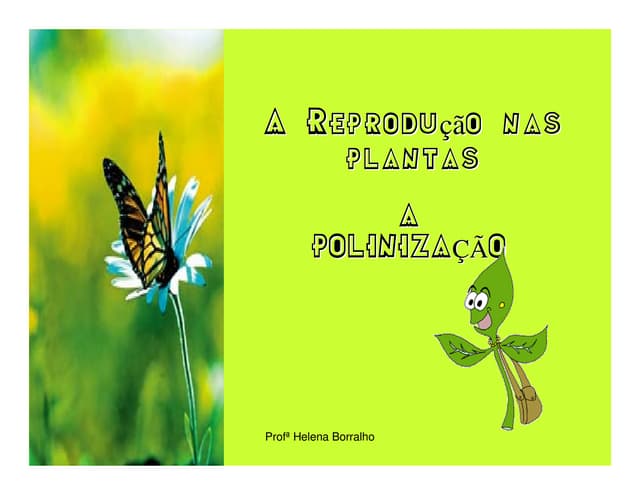 Reprodução nas Plantas