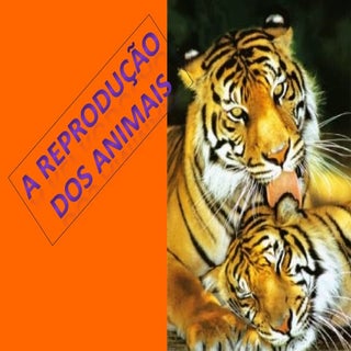 ReproduçãO Nos Animais 5º Ano