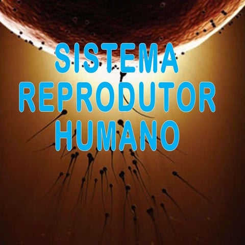 Reprodução%20 humana[1]