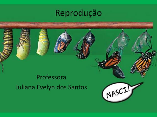 Reprodução 7º ano