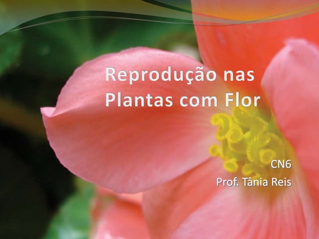 Reprodução de plantas com flor