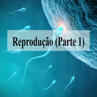 REPRODUÇÃO DOS SERES VIVOS .pptx